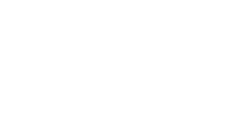 logo florent delaunay muscadet loroux bottereau goulaine blanc transparent